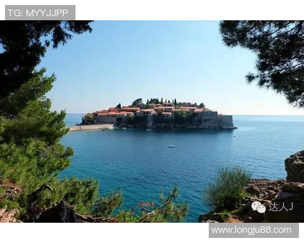 雷斯与阿里安曼的精彩对决分析及赛前预测展望